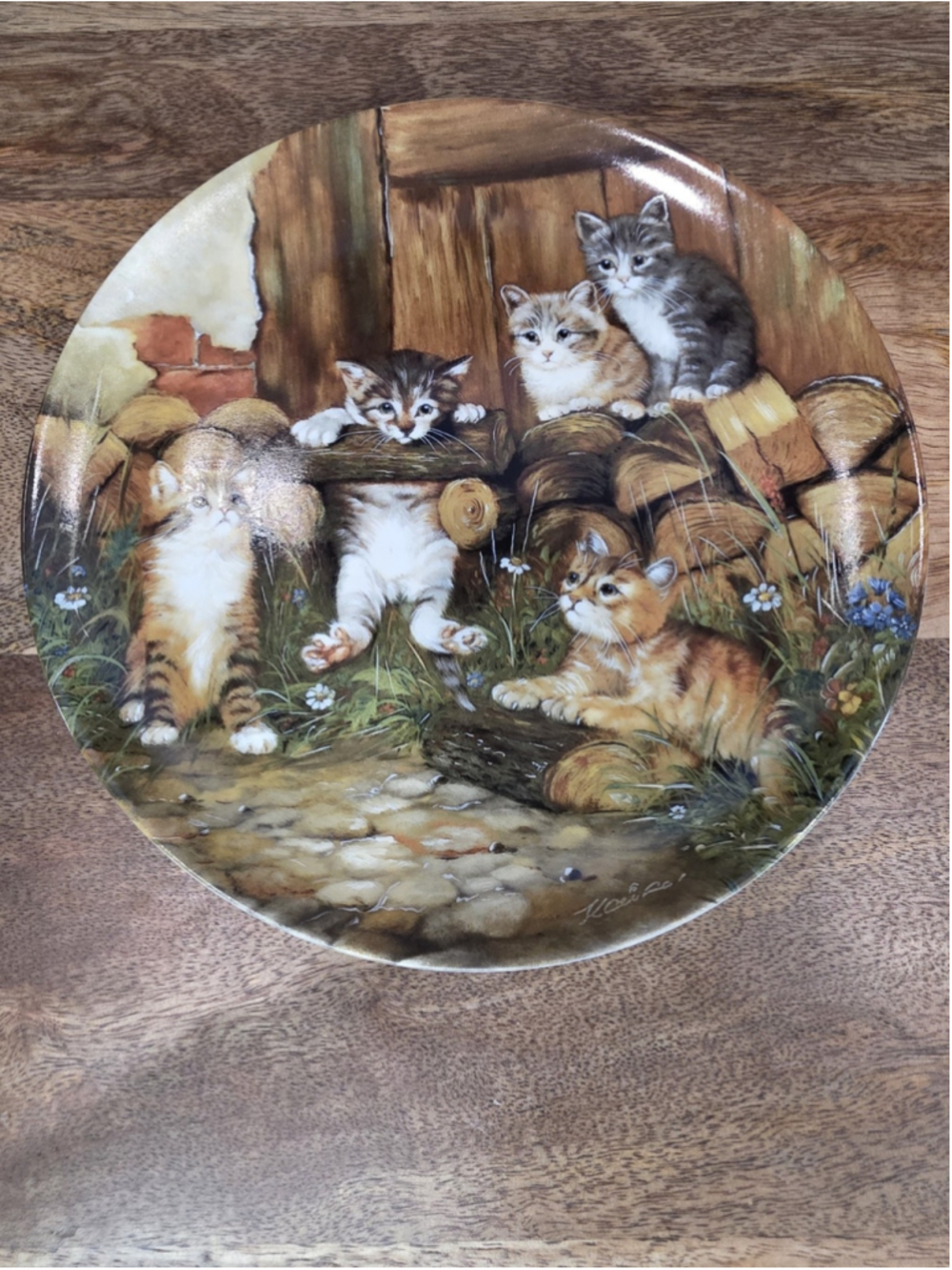 1991 Seltmann Weiden Die Turnstunde Wolfgang Kaiser Cat Collector Plate Germany